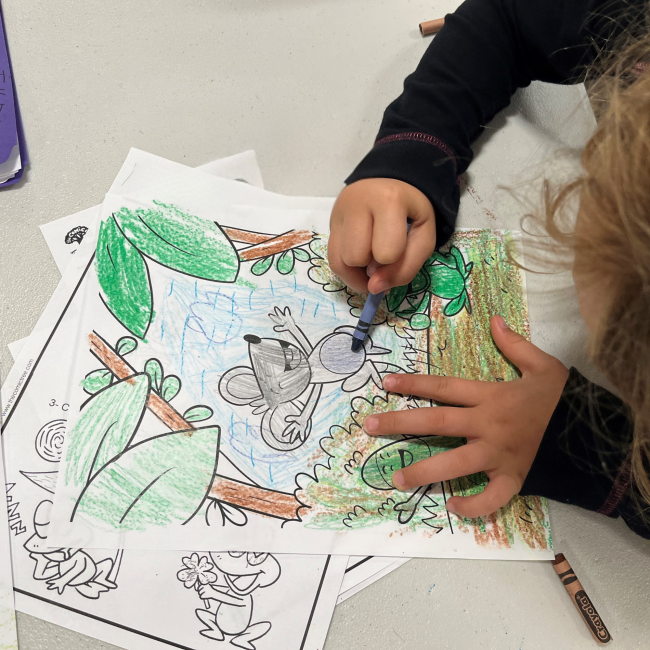 Special Discount For Winter Programs!