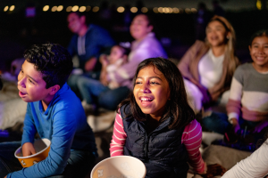 Family Outdoor Movie Night