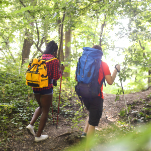 Trailblazer Club Hike - Babcock Preserve